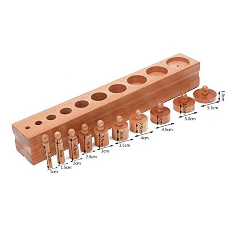 Wooden Cylindrical Blocks Set of 4 | Montessori Cylinder Learning Toy for Kids