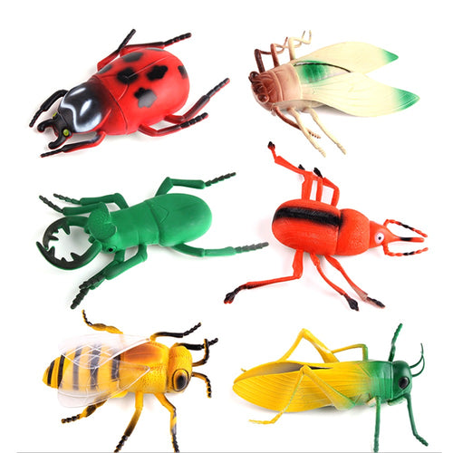 Big Size Realistic Insects Toys Set of 6 | Educational Bug Learning Toys for Kids