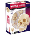 4D MASTER Skull Model | 17 Pieces Educational Anatomy Puzzle STEM Learning Toy
