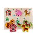 Wooden Puzzles Set of 5 | Kids Educational Fine Motor & Learning Puzzle Toys