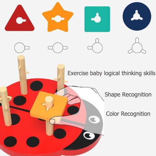 Shape Sorter Ladybug Toy | Wooden Educational Shape Sorting Learning Toy for Kids
