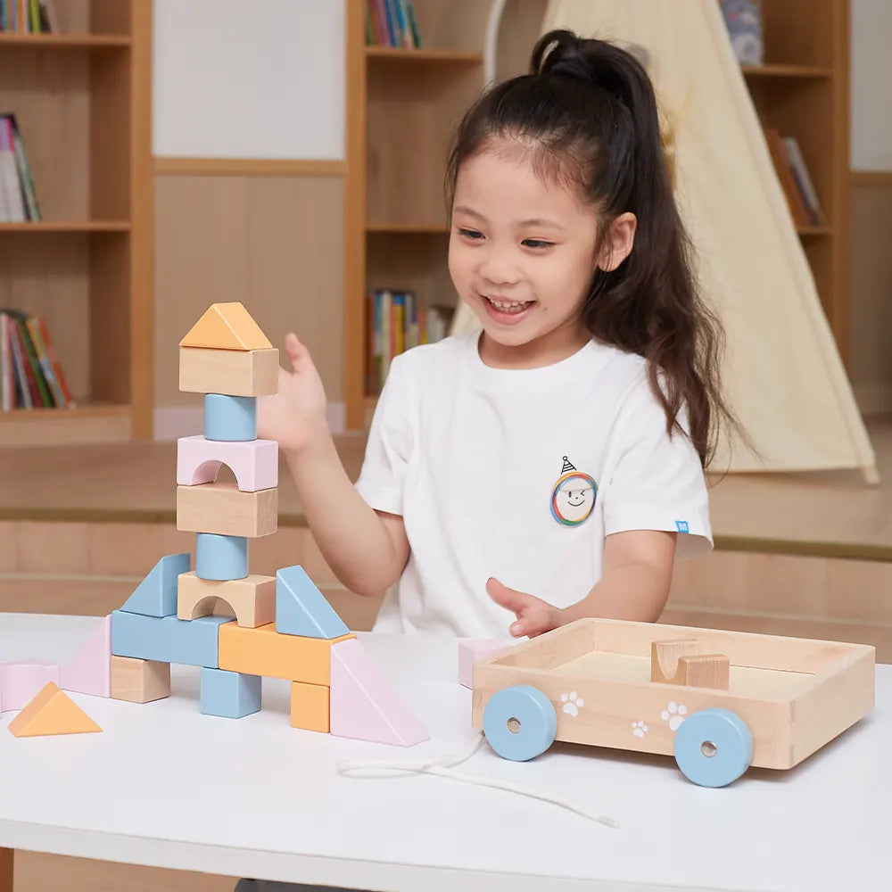 Pull Along Wooden Block Wagon Toy | 20 Pcs Stacking Blocks for Kids 18M+