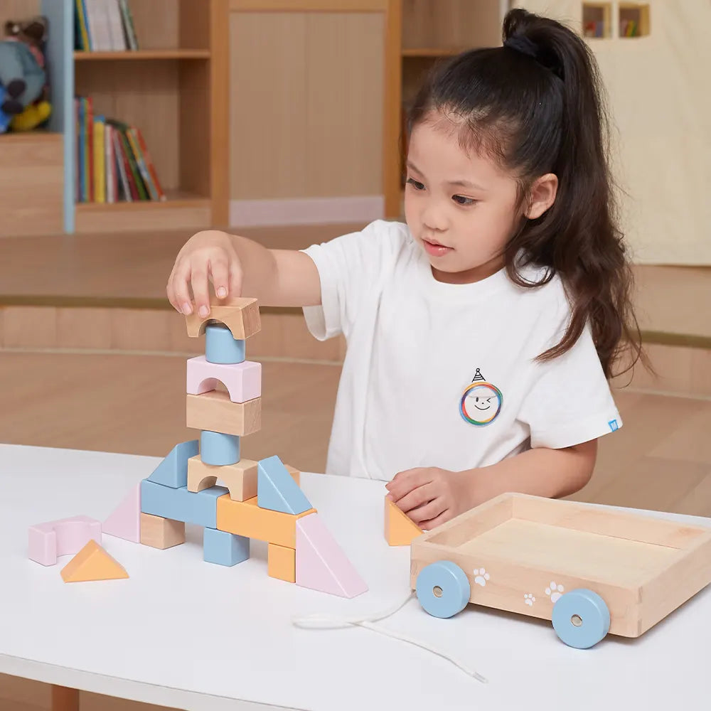 Pull Along Wooden Block Wagon Toy | 20 Pcs Stacking Blocks for Kids 18M+
