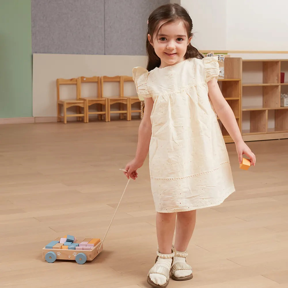 Pull Along Wooden Block Wagon Toy | 20 Pcs Stacking Blocks for Kids 18M+