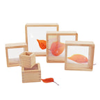 Magnification Blocks Set (6 PCS) | STEM Science Learning Wooden Blocks for Kids (Ages 2+)