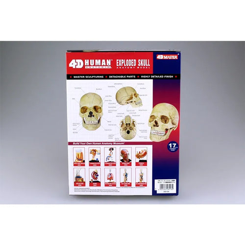 4D MASTER Skull Model | 17 Pieces Educational Anatomy Puzzle STEM Learning Toy
