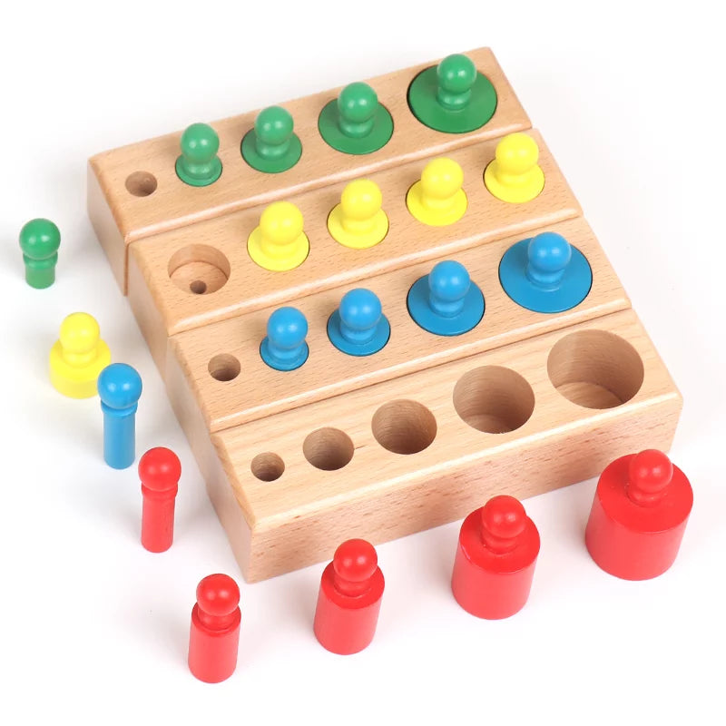 Montessori Cylinder Blocks Set of 4 | Kids Wooden Learning Shape Sorting Toy