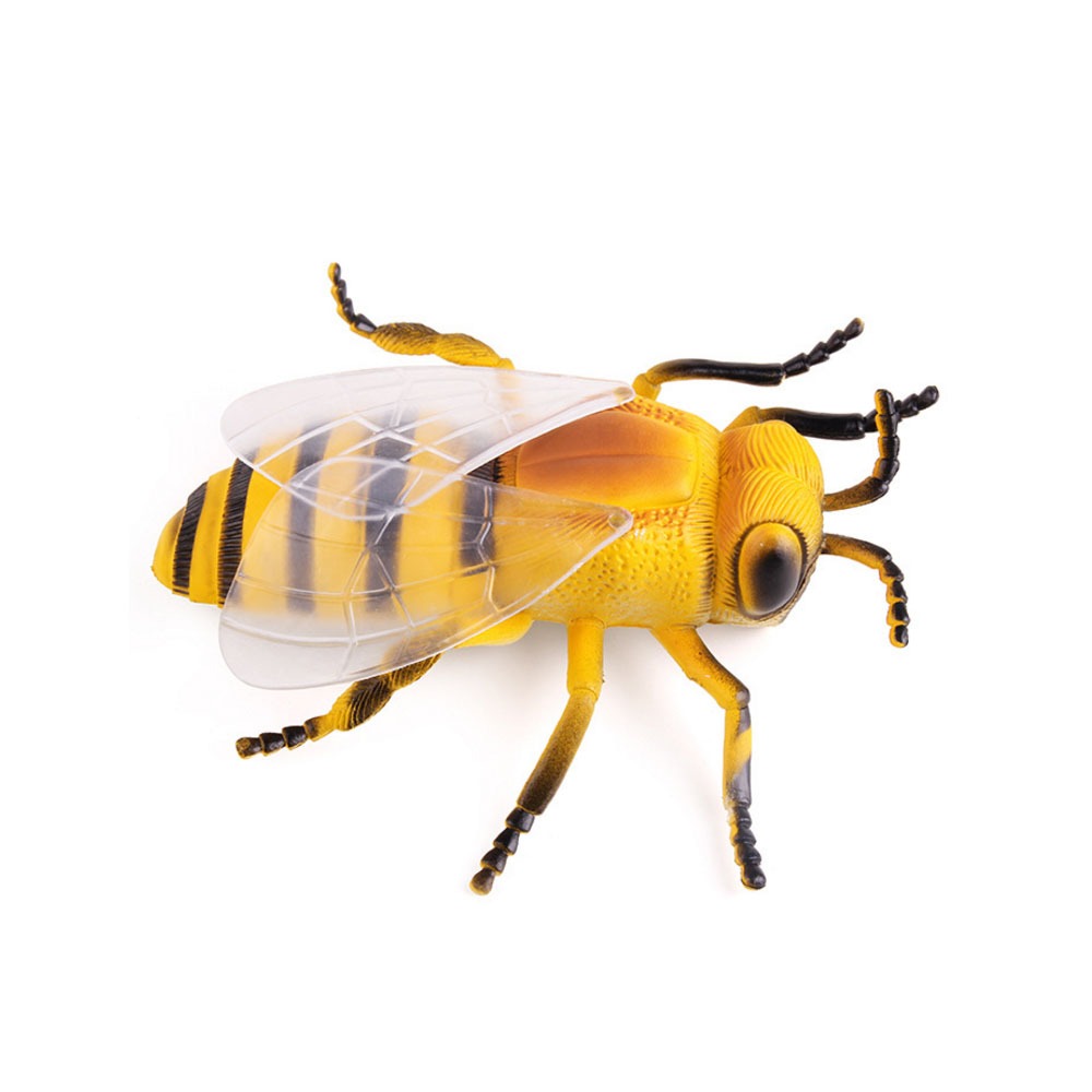 Big Size Realistic Insects Toys Set of 6 | Educational Bug Learning Toys for Kids