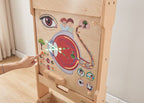 Sense of Sight Learning Board | Kids Human Eye Interactive STEM Educational Toy