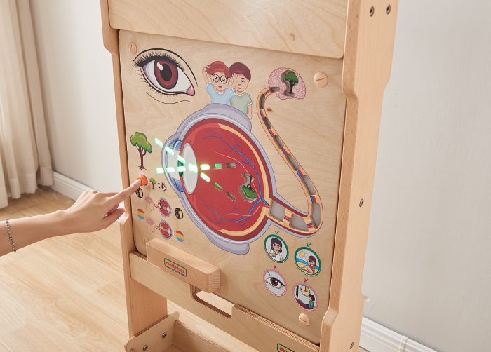 Sense of Sight Learning Board | Kids Human Eye Interactive STEM Educational Toy