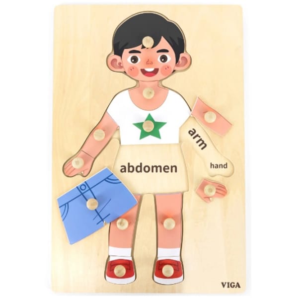 Body Part Puzzle Boy 12pcs | Kids Human Body Learning Puzzle Toy