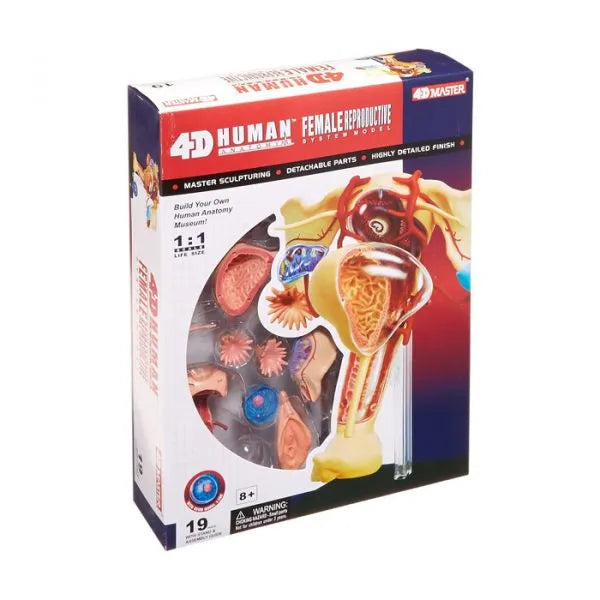 4D Female Reproductive Human Anatomy Model | Educational Science STEM Biology Learning Toy