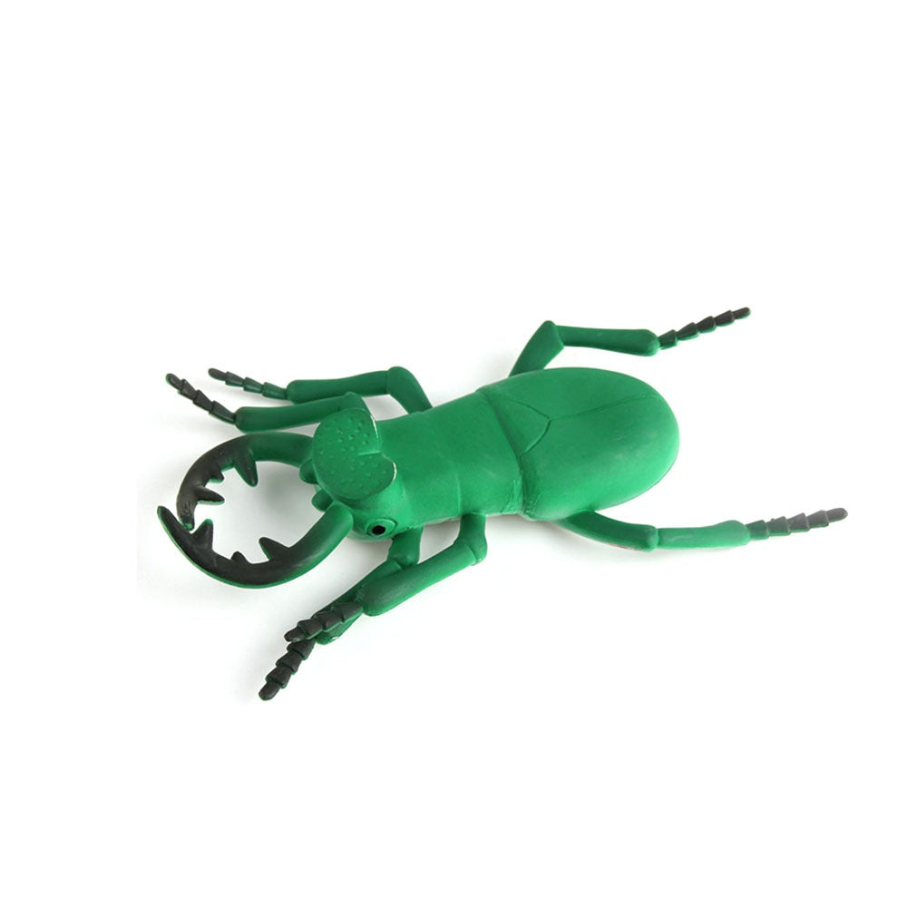 Big Size Realistic Insects Toys Set of 6 | Educational Bug Learning Toys for Kids