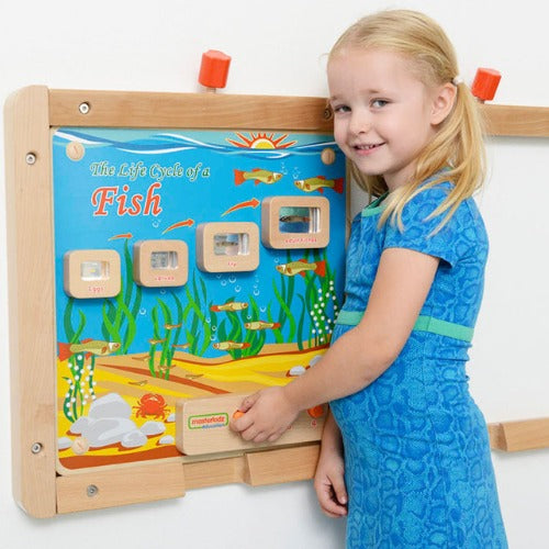 Light-Up Fish Life Cycle Stages Panel | Kids Educational Science Learning Board