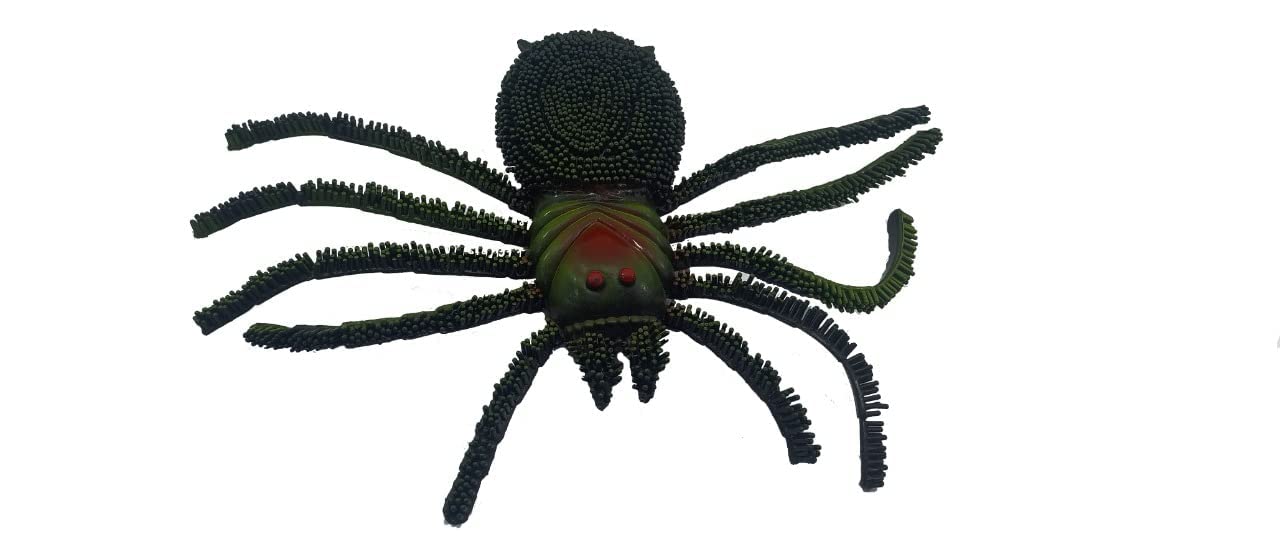 Big Size Realistic Insects Toys Set of 6 | Educational Bug Learning Toys for Kids