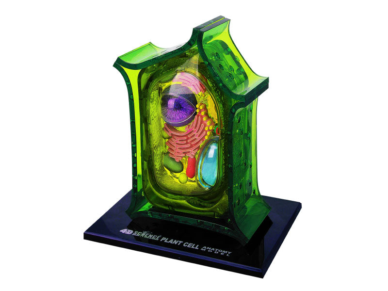 4D Vision Plant Cell Anatomy Model | 26 Pcs Educational STEM Biology Puzzle Toy