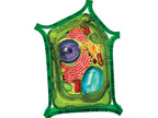 4D Vision Plant Cell Anatomy Model | 26 Pcs Educational STEM Biology Puzzle Toy