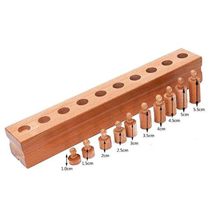 Wooden Cylindrical Blocks Set of 4 | Montessori Cylinder Learning Toy for Kids