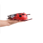 Big Size Realistic Insects Toys Set of 6 | Educational Bug Learning Toys for Kids
