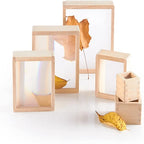 Magnification Blocks Set (6 PCS) | STEM Science Learning Wooden Blocks for Kids (Ages 2+)