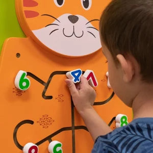 Cat Wall Toy