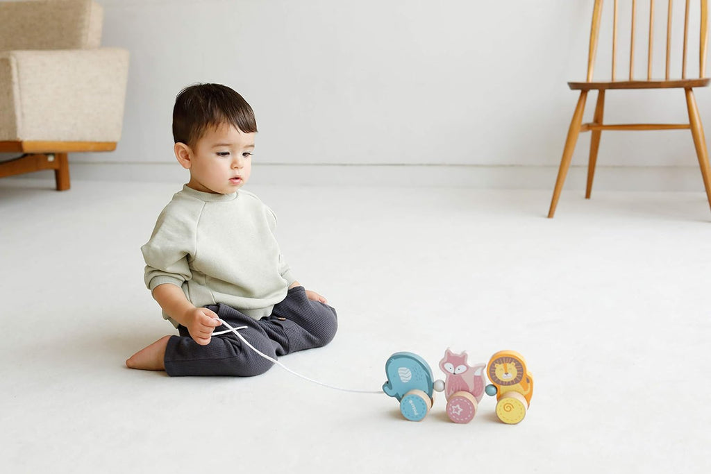 Pull Along Twisting Toy | Wooden Montessori Walking Toy for Toddlers 18M+