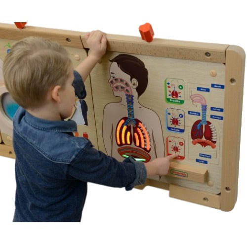 Respiratory System Human Body Board | Kids Interactive Science Learning STEM Toy