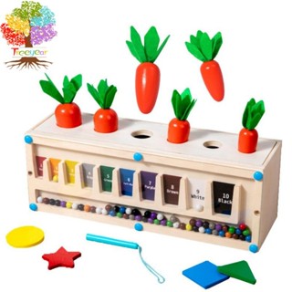 Carrot Harvest 3 in 1 Montessori Toy | Wooden Shape Sorting & Bead Maze Learning Set