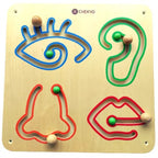 Eye Nose Ear & Lips Slide Wall Toy | Kids Wooden Sensory Coordination Activity Board
