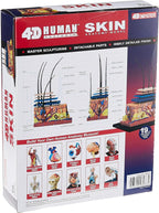 4D Vision Human Skin Model | 12 Pcs Educational STEM Anatomy Learning Toy