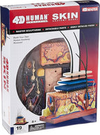 4D Vision Human Skin Model | 12 Pcs Educational STEM Anatomy Learning Toy