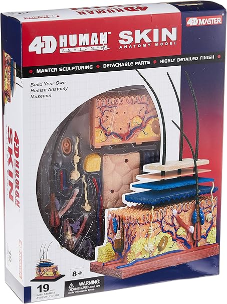 4D Vision Human Skin Model | 12 Pcs Educational STEM Anatomy Learning Toy