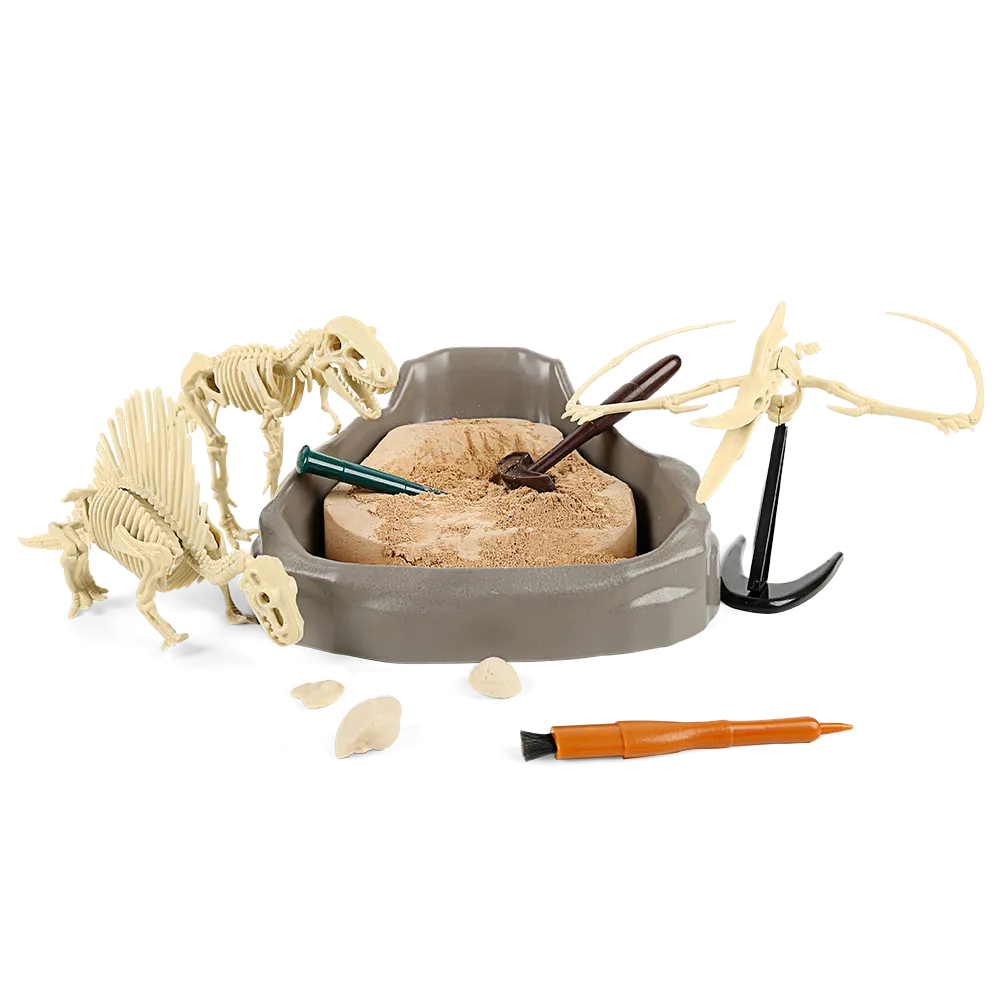 Dinosaur Fossil Dig Kit | Kids Archeology STEM Excavation Learning Toy