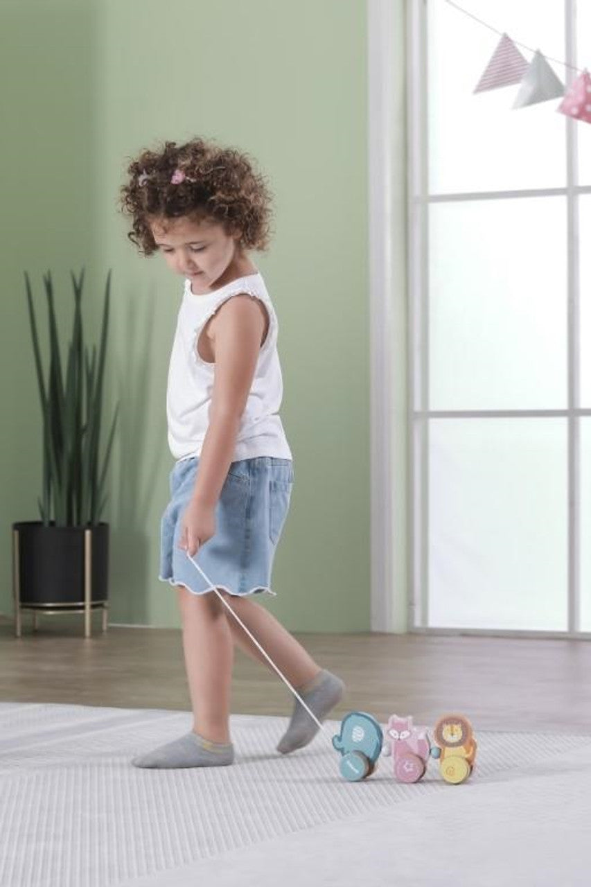 Pull Along Twisting Toy | Wooden Montessori Walking Toy for Toddlers 18M+