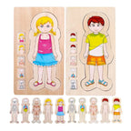 Human Body Cognition Layers Puzzle Girl | Wooden Anatomy Learning Puzzle for Kids