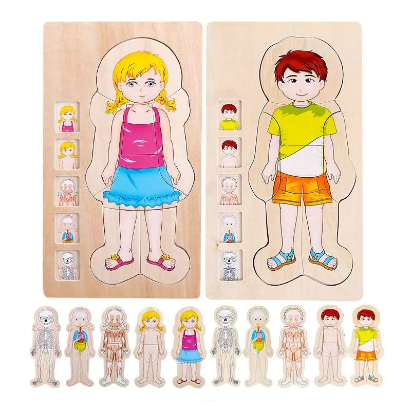Human Body Cognition Layers Puzzle Girl | Wooden Anatomy Learning Puzzle for Kids