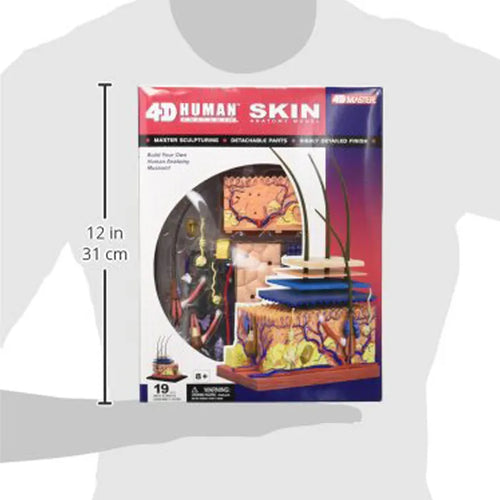 4D Vision Human Skin Model | 12 Pcs Educational STEM Anatomy Learning Toy
