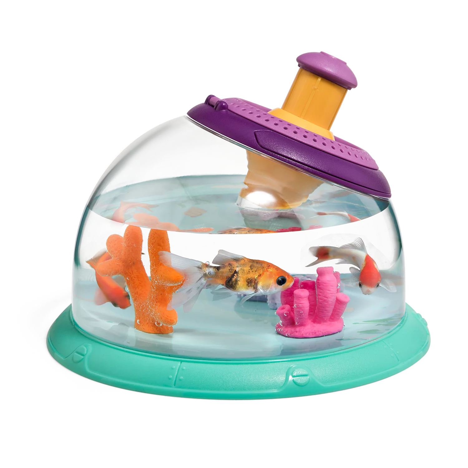 Elton Insect & Fish Viewer | Kids Educational Microscopic Observation Learning Toy