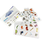 Waste Sorting Box for Kids | Educational Recycling & Garbage Classification Game Set