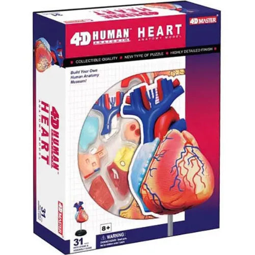 4D Human Heart Anatomy Model | 31 Parts Educational STEM Biology Puzzle Toy