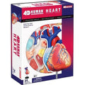 4D Human Heart Anatomy Model | 31 Parts Educational STEM Biology Puzzle Toy