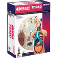 4D Vision Human Torso Anatomy Model | 32 Detachable Parts STEM Biology Learning Toy
