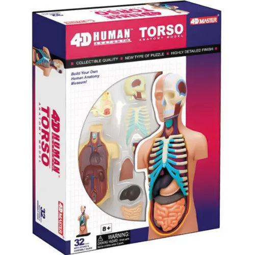 4D Vision Human Torso Anatomy Model | 32 Detachable Parts STEM Biology Learning Toy