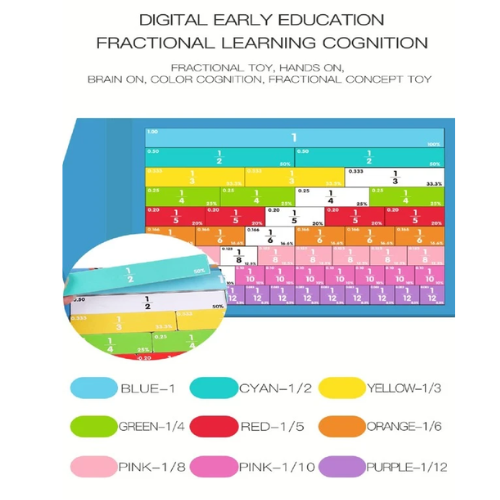 Fraction Toy Math Learning Tools with Magnet | Wooden Montessori Educational Toy