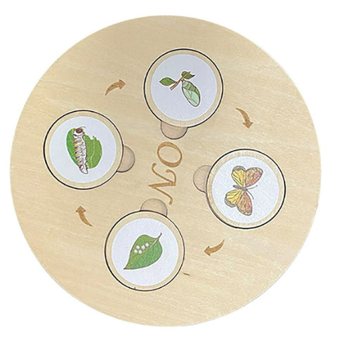 Life Cycle Puzzle Board
