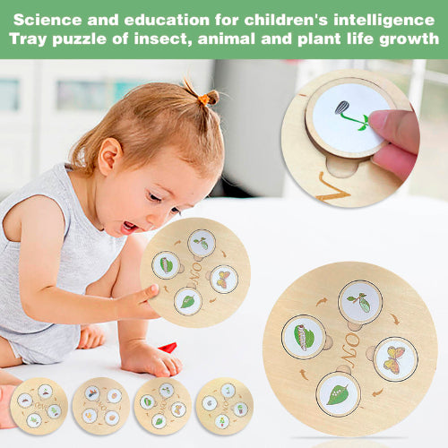 Life Cycle Puzzle Board | Kids Wooden Educational Biology Learning Puzzle Toy