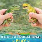 Dinosaur World 12 Pcs Set | Realistic Dinosaur Toys for Kids Educational Play