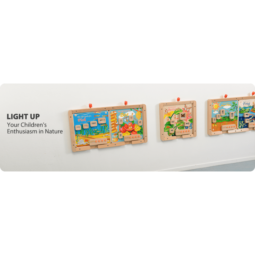 Light-Up Bee Life Cycle Panel | STEM Educational Biology Learning Board for Kids