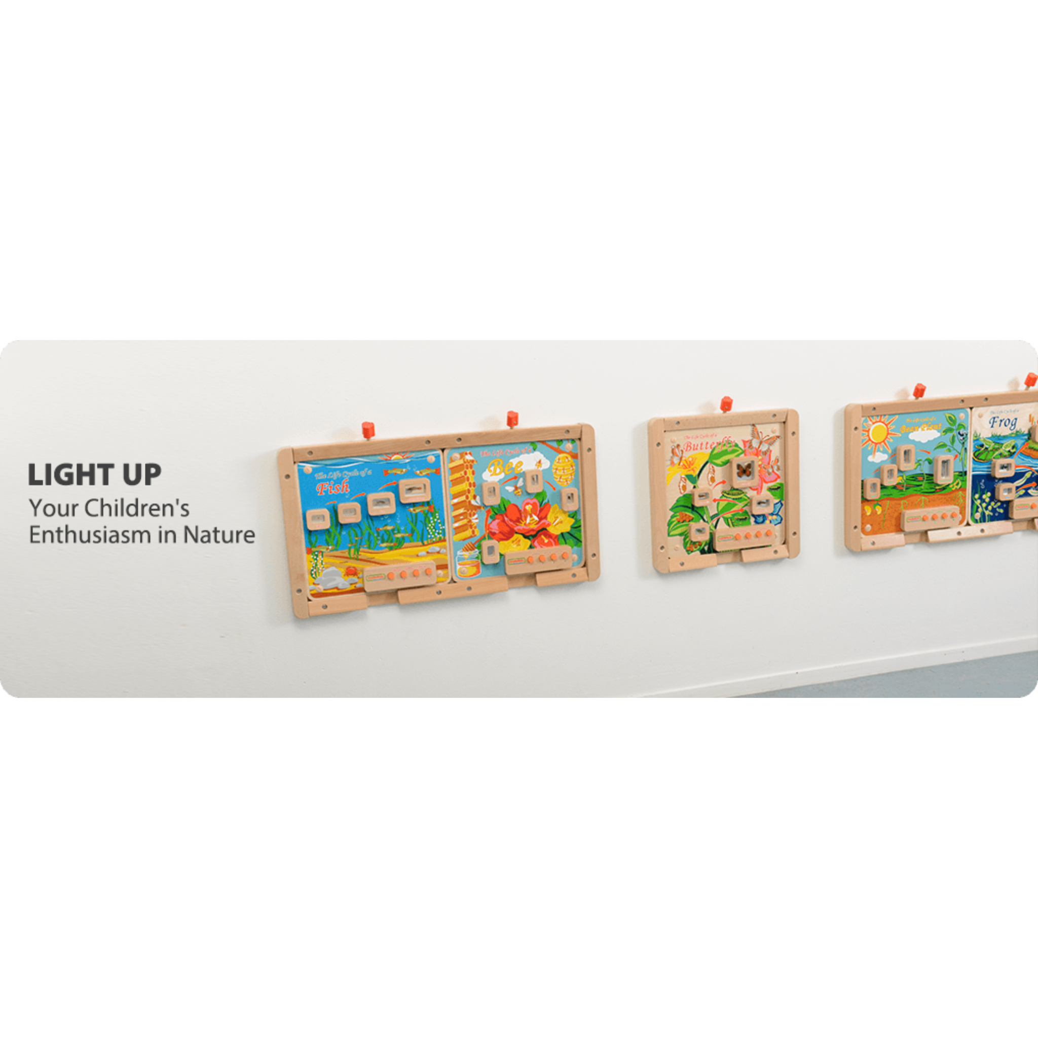 Light-Up Bee Life Cycle Panel | STEM Educational Biology Learning Board for Kids