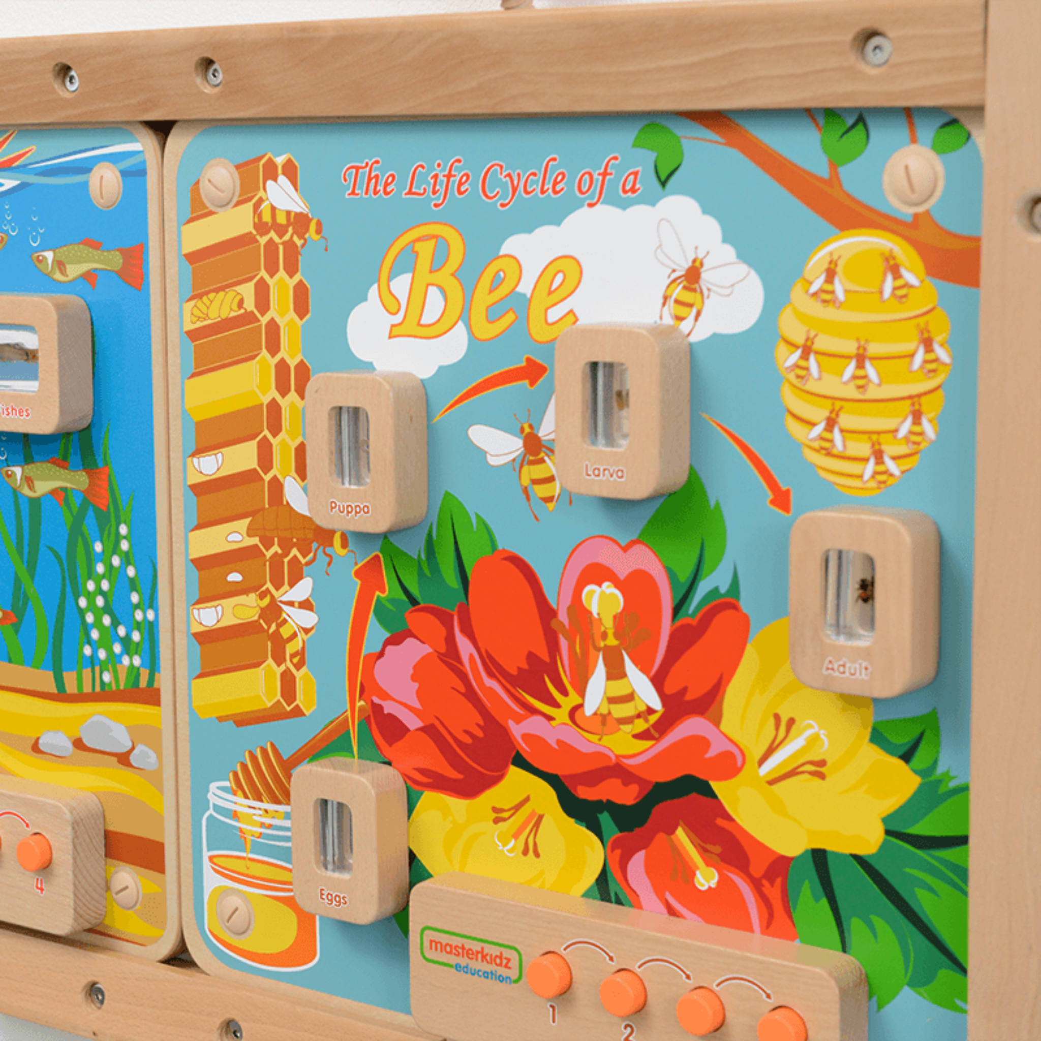 Light-Up Bee Life Cycle Panel | STEM Educational Biology Learning Board for Kids